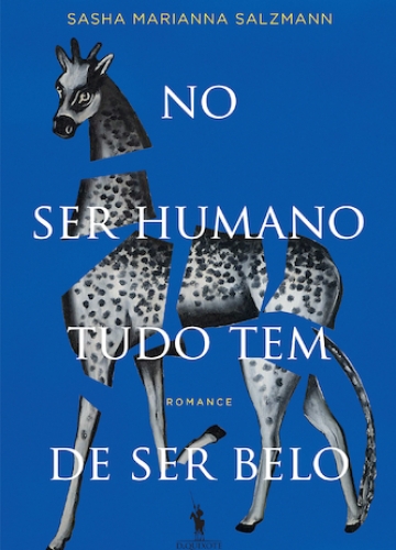 As Primeiras Coisas de Bruno Vieira Amaral - Livro - WOOK