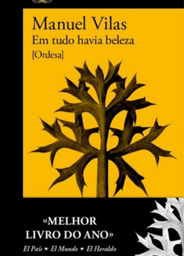 Em tudo havia beleza – Manuel Vilas